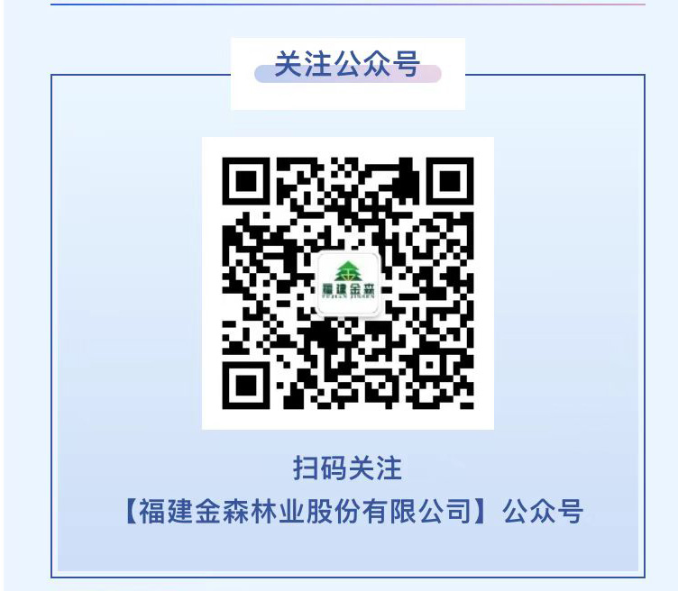 福建金森公众号“投资者关系”专栏正式上线