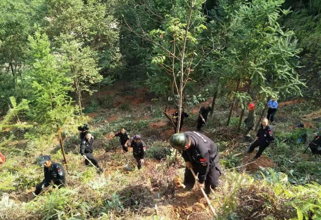 干好每一天|青山挂白我复绿，无私奉献金森人——资源保护部义务突击队工作记实
