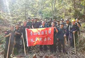 干好每一天|青山挂白我复绿，无私奉献金森人——资源保护部义务突击队工作记实